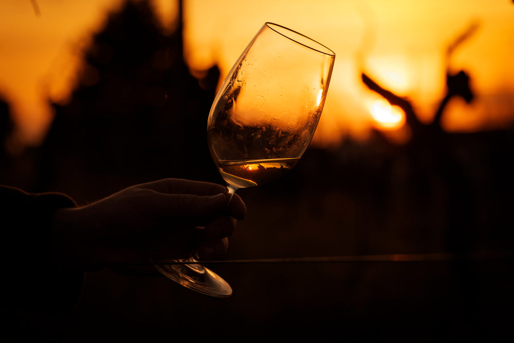 Trier Amigos Tasting Experience