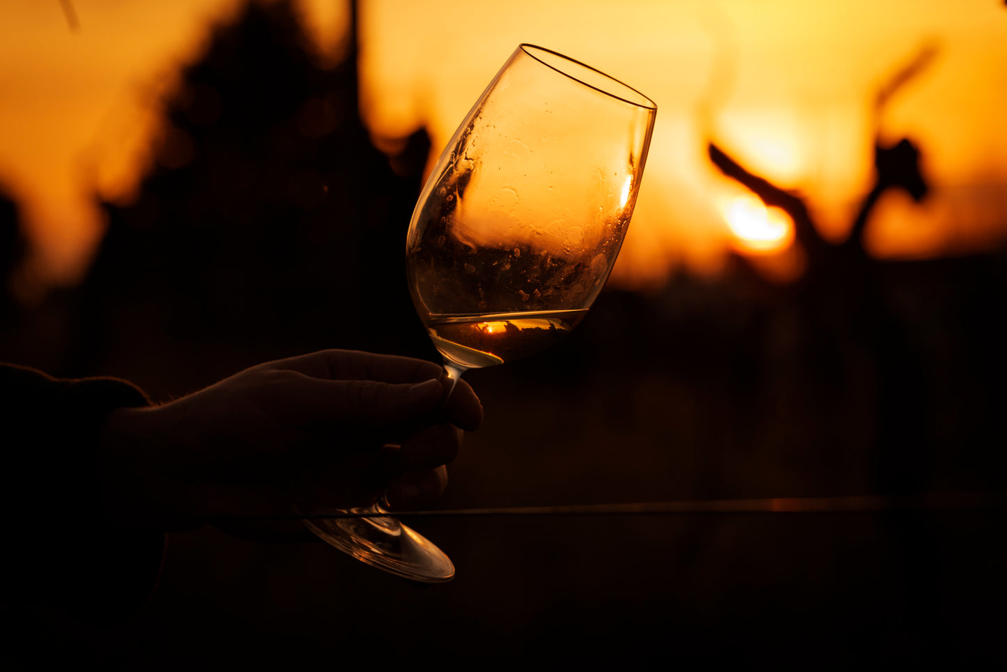 Trier Amigos Tasting Experience