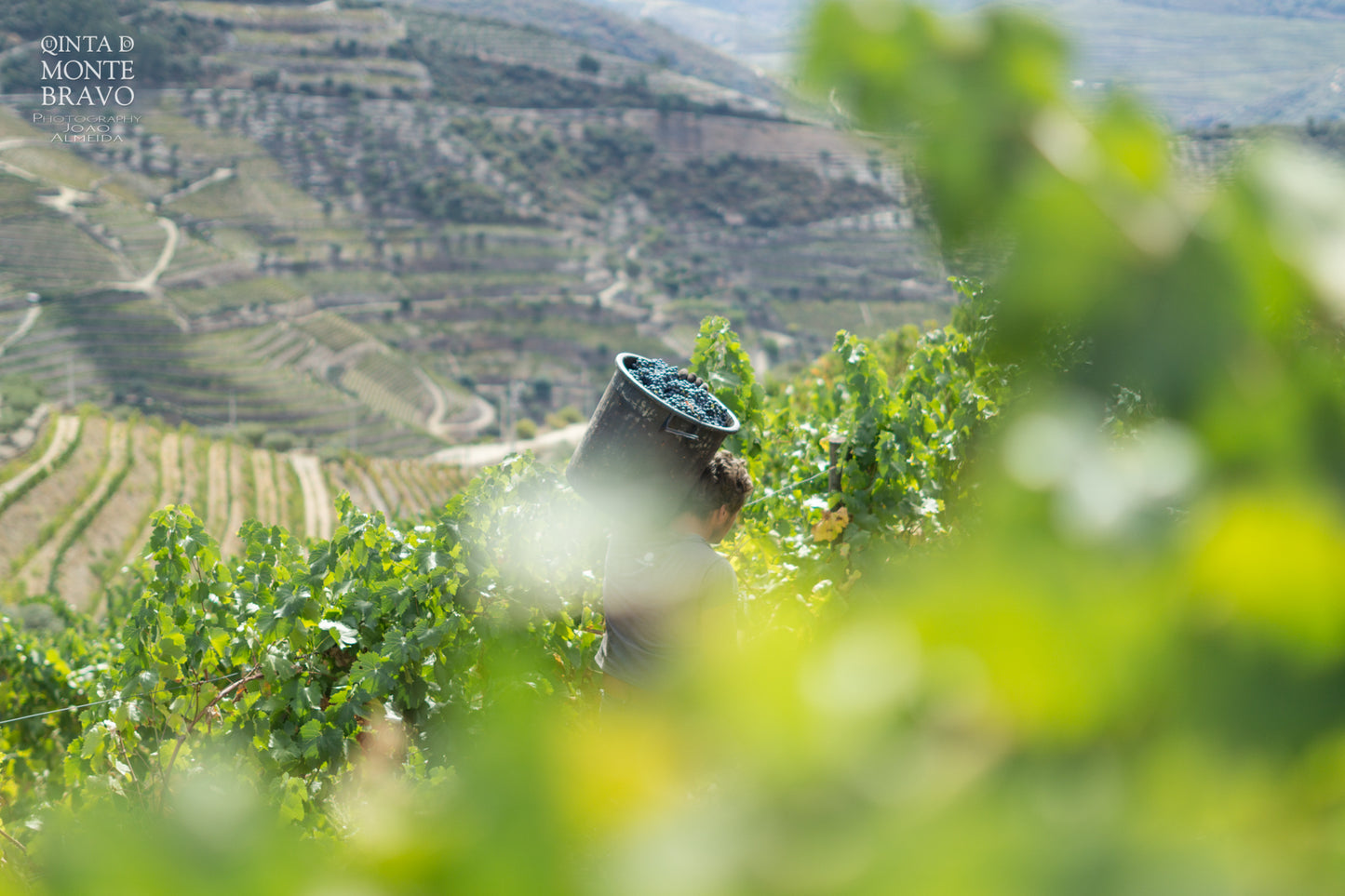 Trier Amigos Tasting Experience